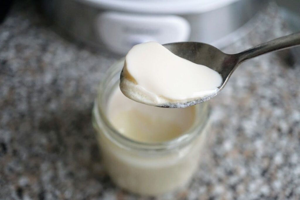 I doma se dá vyrábět rostlinný jogurt bez problému